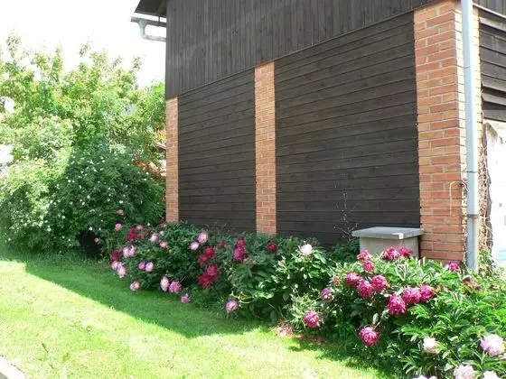Guest House Pod Hajkem - Dış Mekan