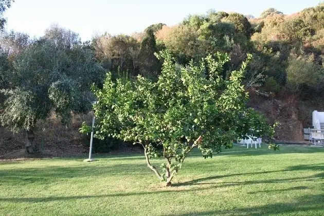 Guesthouse Casavasco - Dış Mekan