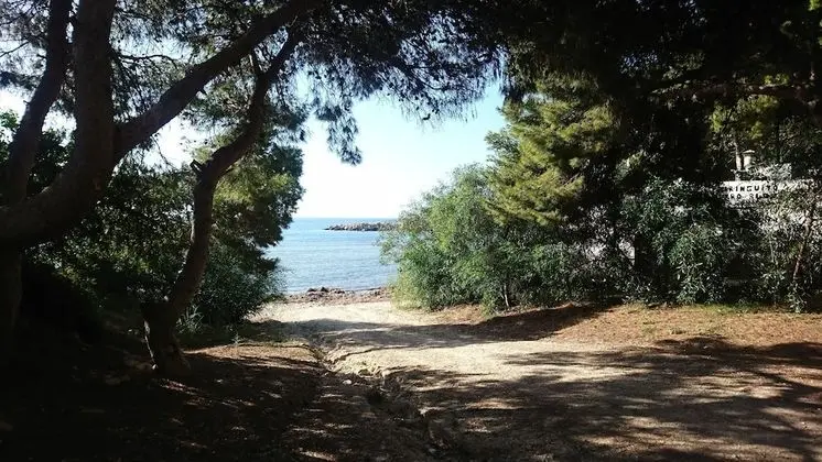 Guesthouse -El campello-Alacant