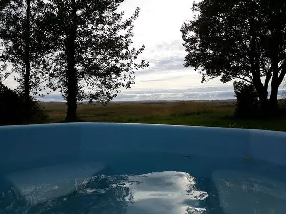 Guesthouse Geldingaholt - Havuz