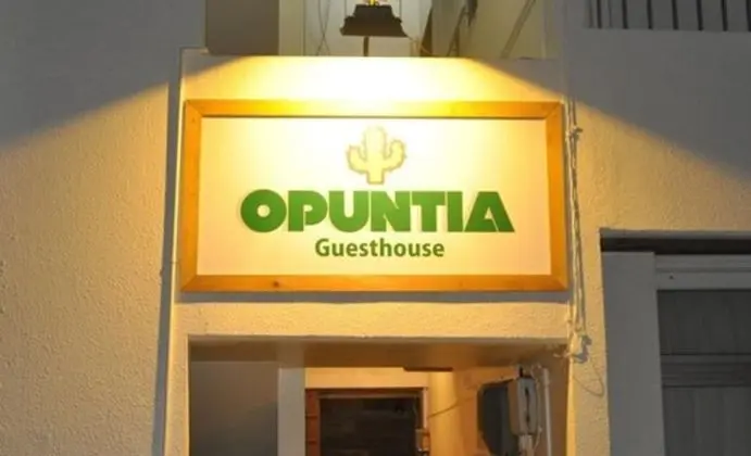 Guesthouse Opuntia - Hostel - Dış Mekan