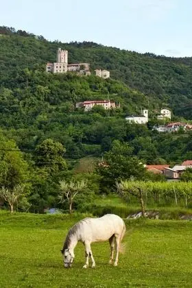 Guesthouse Ošterija - Dış Mekan
