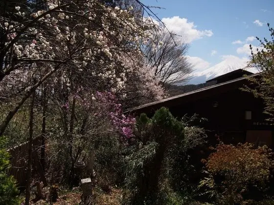 Guesthouse Sakuya - Dış Mekan