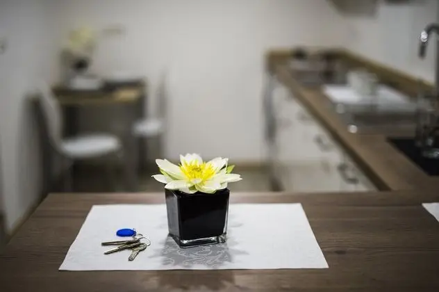 Guesthouse Urša - İç Mekan