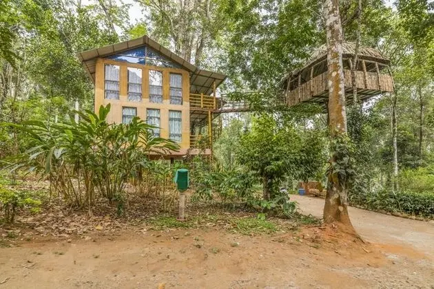 GuestHouser 4 BHK Tree house 7d51