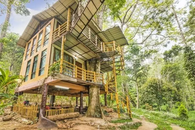 GuestHouser 4 BHK Tree house 7d51 - Dış Mekan