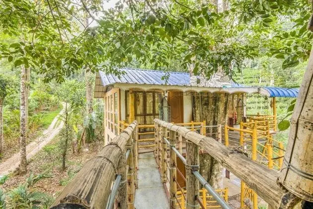 GuestHouser 4 BHK Tree house 7d51 - İç Mekan
