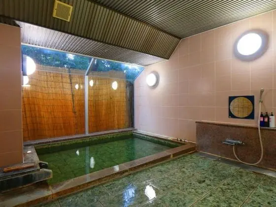 Guestroom Garden Azumino - Havuz