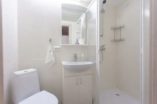 Guests Love Zagorodny 21 - Banyo Tipleri