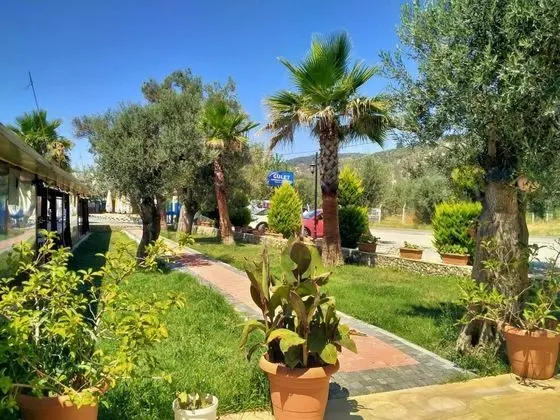Gulet Tiny House Hotel - Lobi