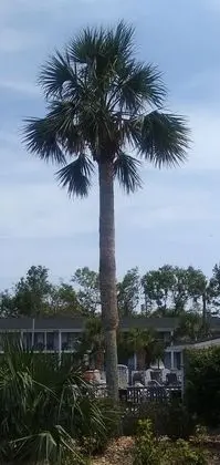 Gulf Coast Inn - Dış Mekan