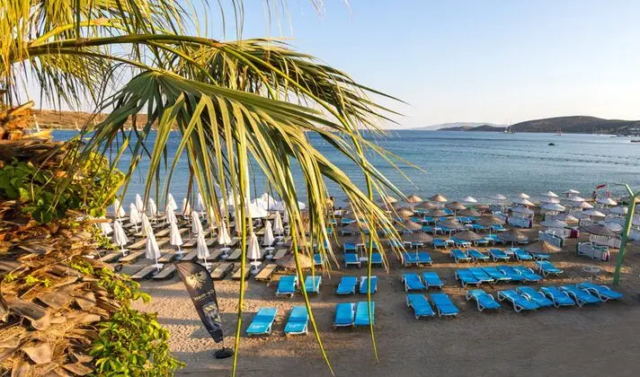 Gümbet Anıl Beach - 10