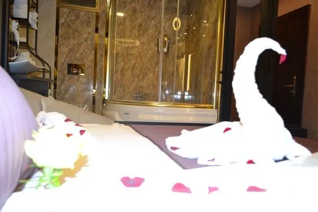 Gümüş Palace Suites Gaziosmanpaşa - Genel
