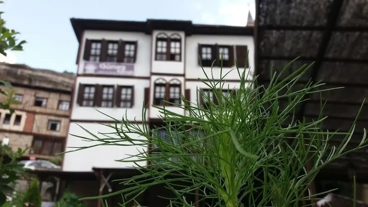 Gunes Konak - Manzara / Peyzaj