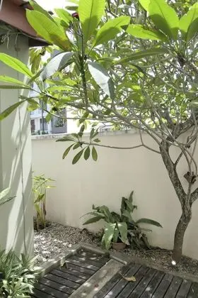 Gurney 4 Plus 1 Bali Style Tranquil Villa - Dış Mekan