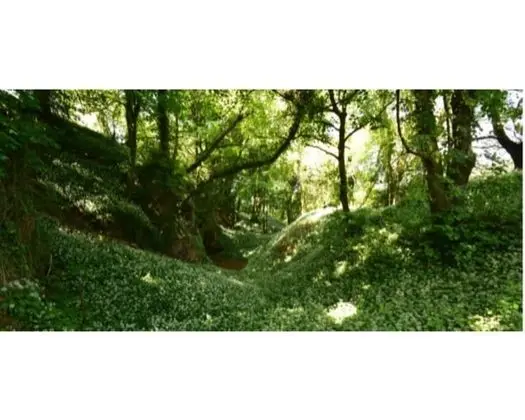 Guyscliffe Farm Holiday Lets - İlgi Noktası