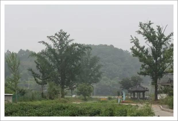 Gwiae Traditional House