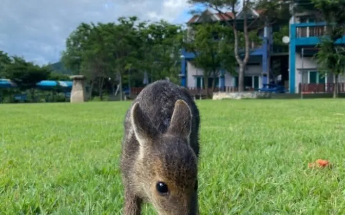 Gyeongju Sannedeul Pension