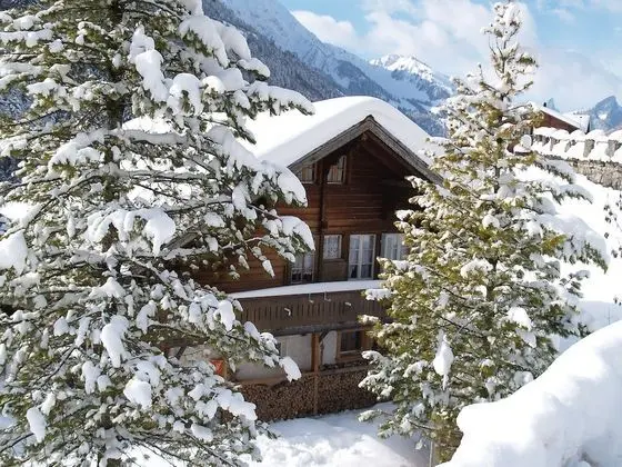 H fli Jaun in Jaun With 3 Bedrooms and 1 5 Bathrooms - Oda