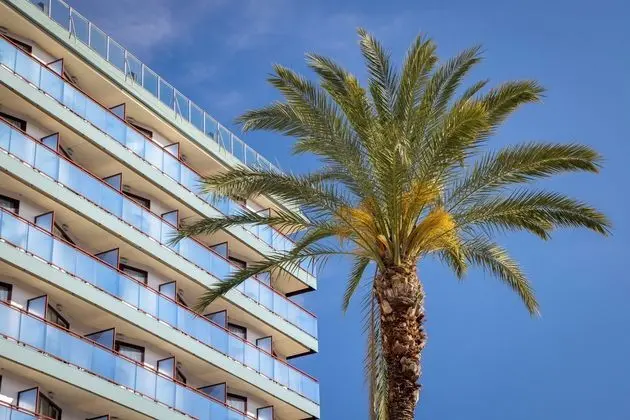 H·TOP Calella Palace Family & SPA - Dış Mekan