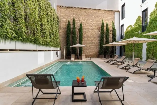 H10 Palacio Colomera - Havuz