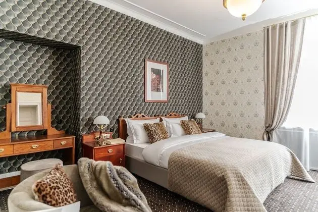 H15 Francuski Hotel - Oda