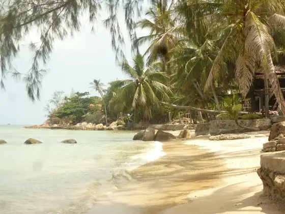 Haad Chao Phao Resort - Plaj