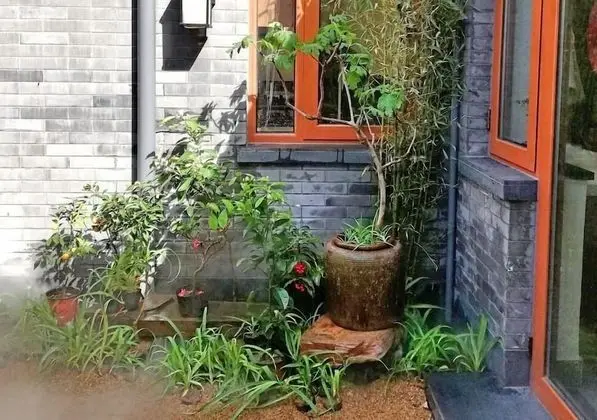 Habitat Quadrangle - Yu Ge Hutong - Dış Mekan