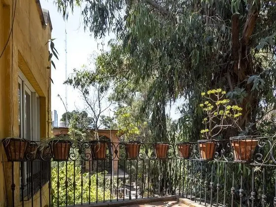 Hacienda del Molino