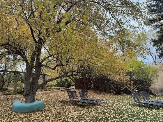 Hacienda del Sol - Dış Mekan