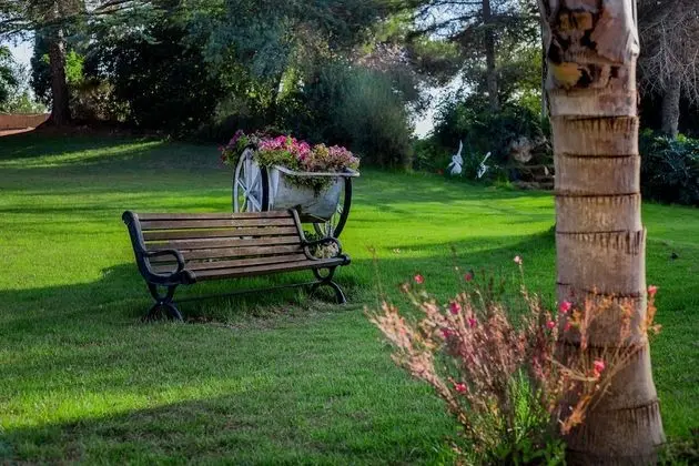 Hacienda ForestView - Dış Mekan