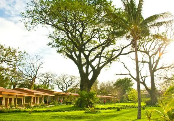 Hacienda Guachipelin