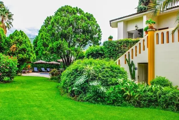 Hotel Hacienda Los Laureles - Spa - Dış Mekan