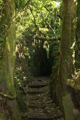 Hacienda Puerta Del Cielo Ecolodge & Spa - Dış Mekan
