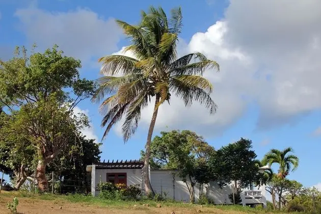 Hacienda Tamarindo - Dış Mekan