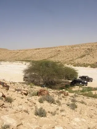 Hadass Desert Inn - Plaj