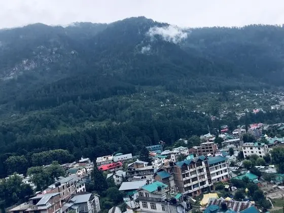 Hotel Hadimba Palace Manali