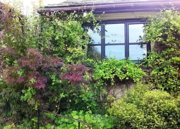 Hafan Deg Bed & Breakfast - Dış Mekan