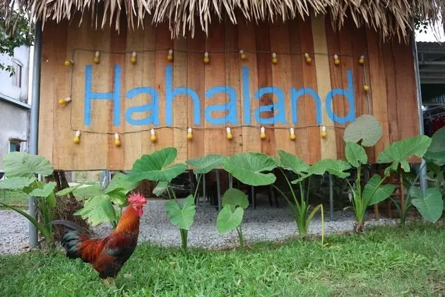 Hahaland - Hostel - Dış Mekan