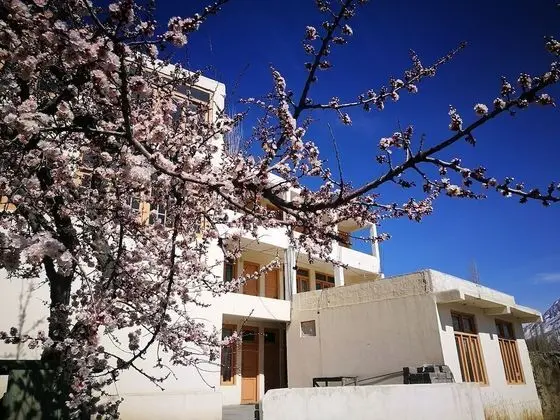 Haider Inn