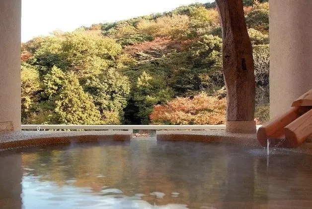 Hakone Suimeisou