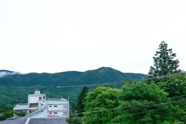 Hotel Hakone Terrace Annex - Oda Manzaraları