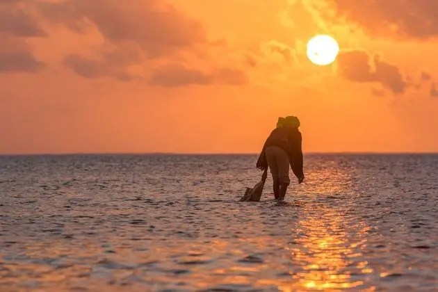 Hakuna Majiwe Beach Lodge - Plaj
