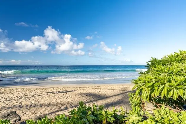 Hale Kahana'lu 2 Bedroom Condo by Redawning - Plaj