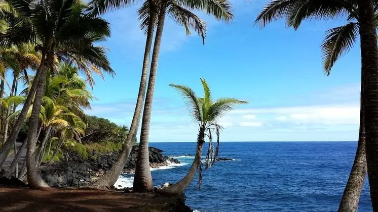 Hale O Makani 3 Bedroom Home by Redawning - Plaj