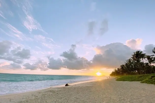 Hale Oahu Cottage by Avantstay Stunning Beachfront Estate! - Plaj