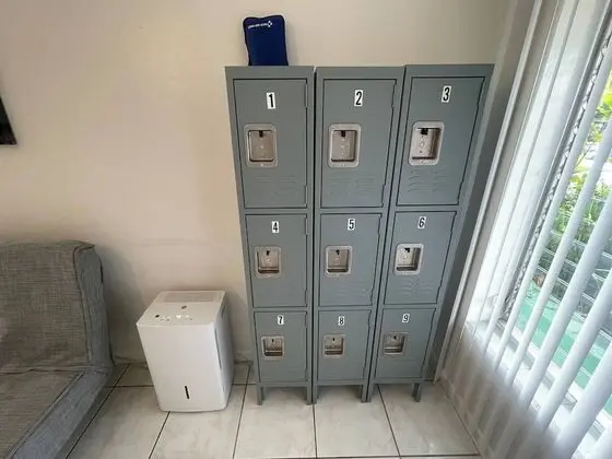 Hallandale Beach Hostel - Oda Düzeni