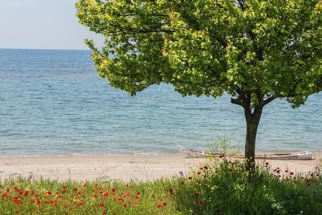 halu! Modern & Cozy Seafront Villa - Öne Çıkan Resim