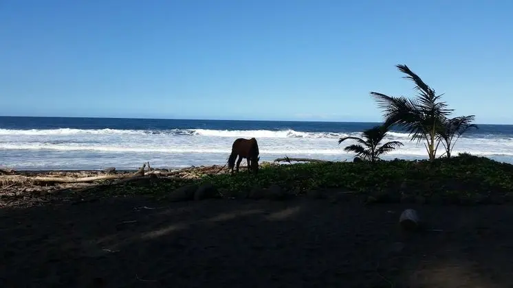 Hamakua Pukana La Hale 3 Bedroom Home by Redawning - Plaj