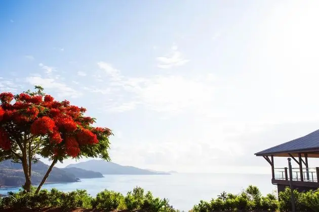 Hamilton Island Holiday Homes - Lobi